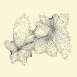 Eyvind Kang - Plainlight