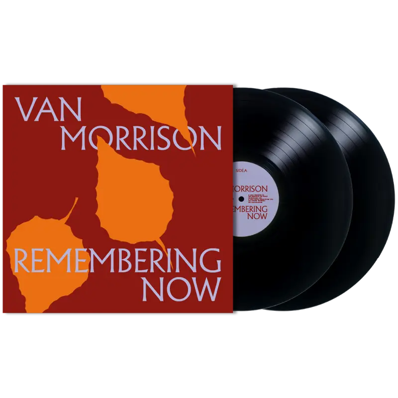 Remembering Now 2LP
